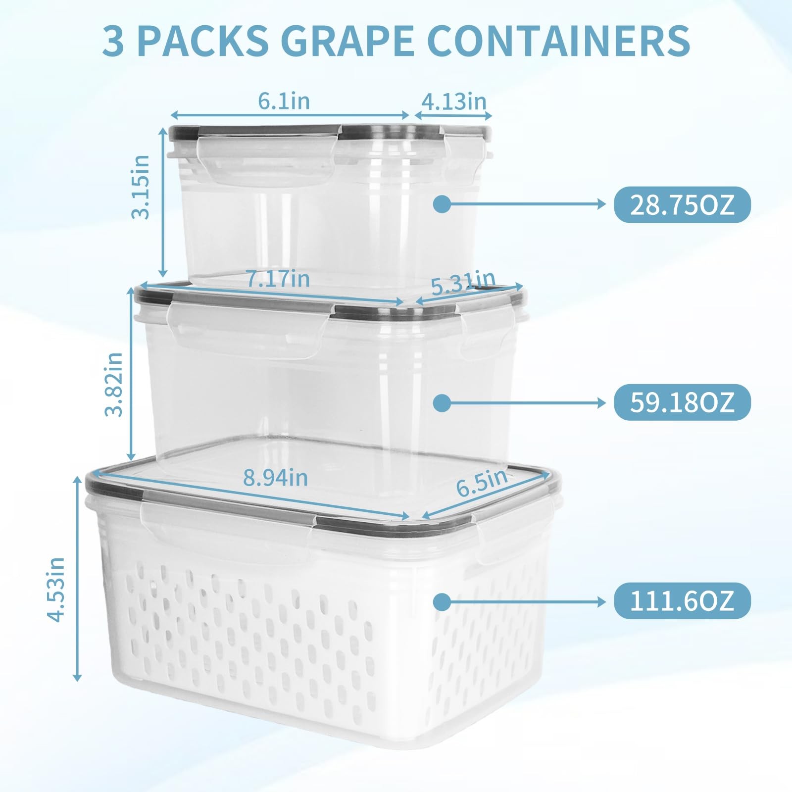 Dukrouk Grape Container for Fridge,3PCS(0.9-13.5Qt) Standard, Clear