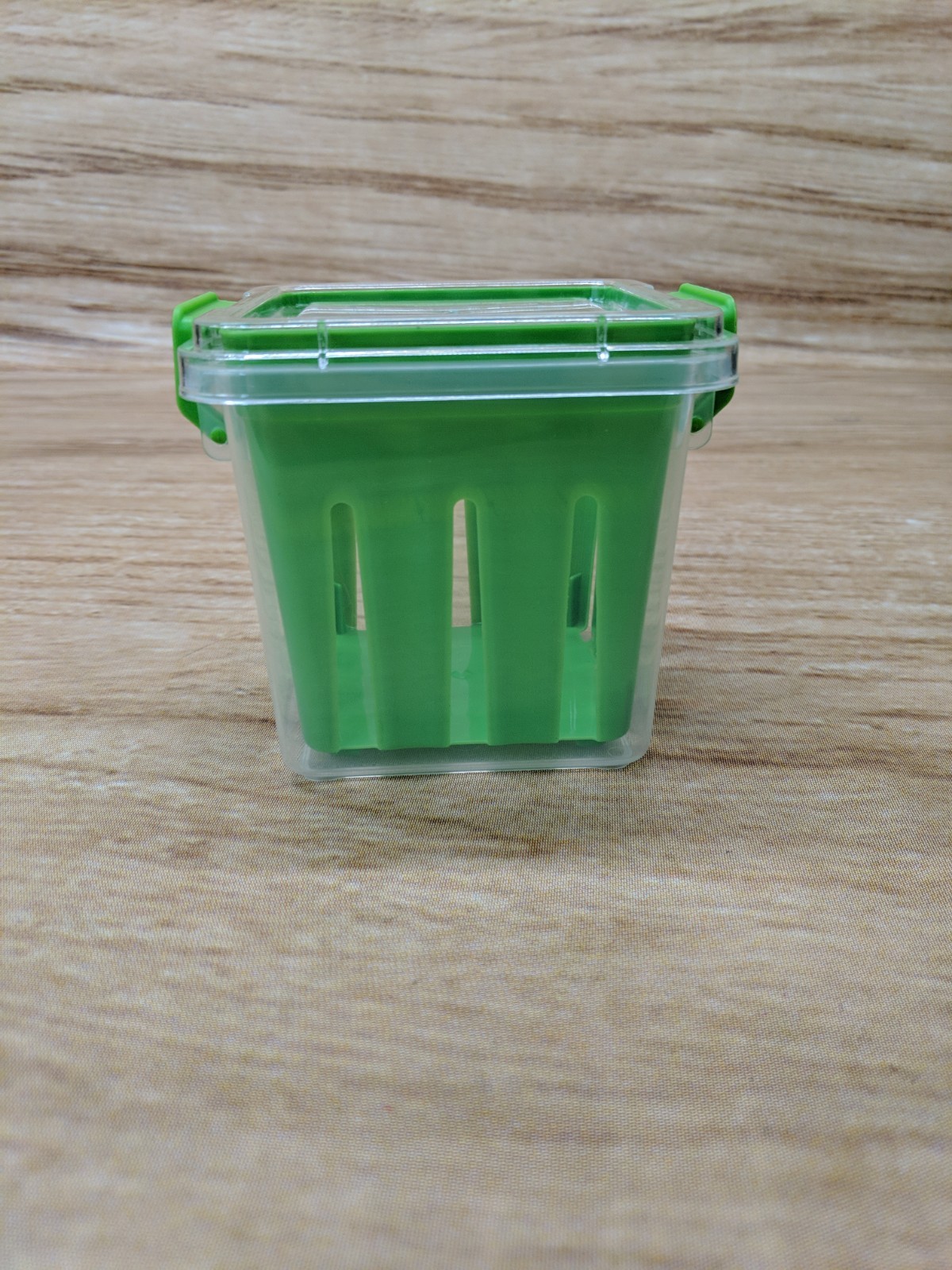 Cooking Concepts Veggie Storage Fruit Container Green Freezer Dishwasher Safe