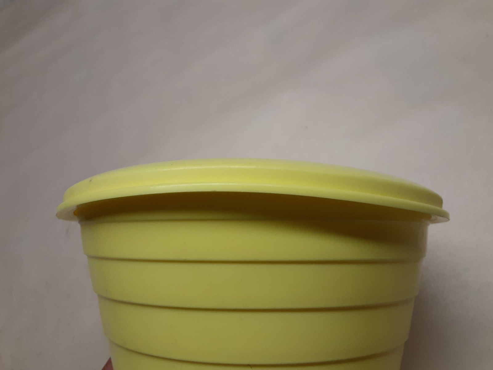 Vintage Stanley Flex plastic bowl with lid