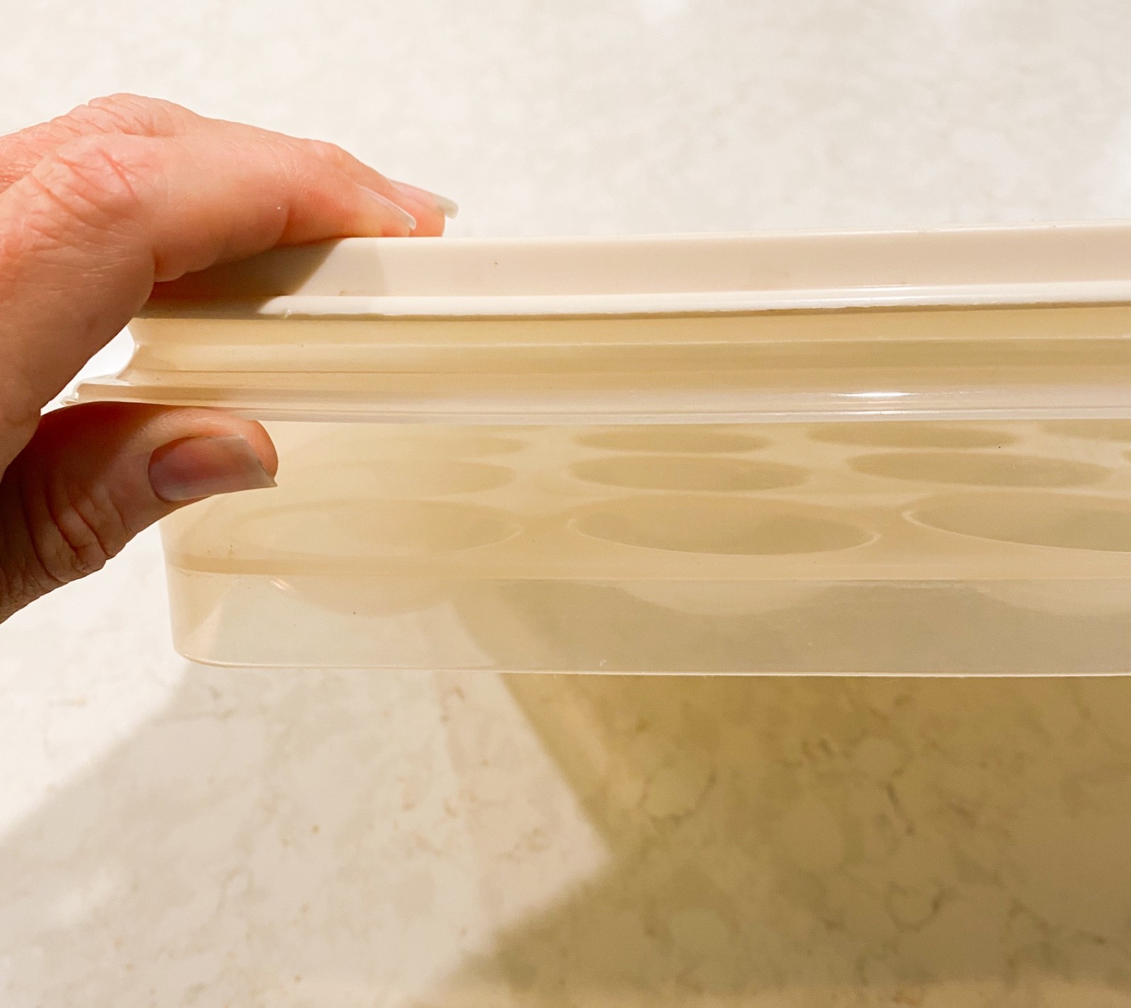Vtg Rubbermaid Servin’ Saver 20 Deviled Egg Keeper Container Almond Lid #7 FrShp