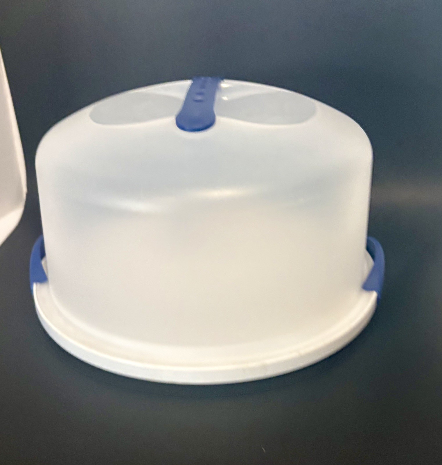 Sterilite Cake Server- Holds 12” Round Cake Carrier w/Lid Cover & Blue Handles