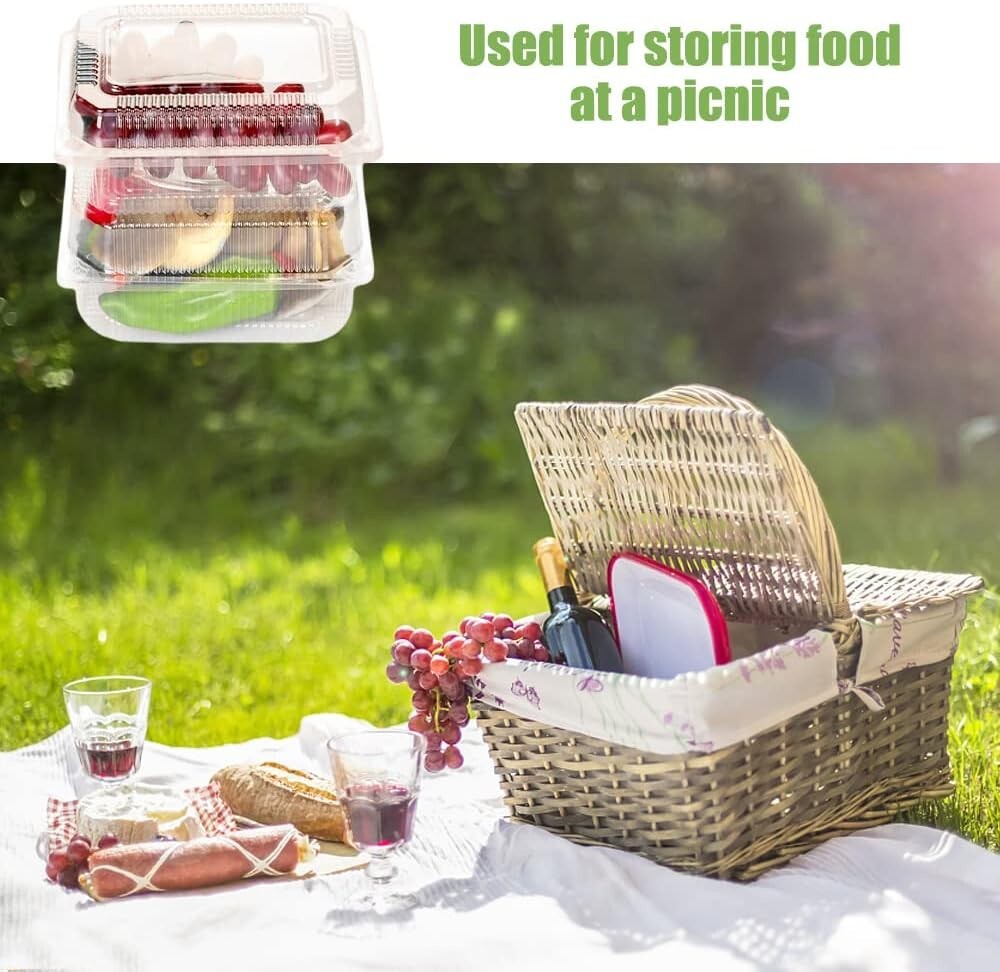 100 Pack Clear Plastic Take Out Container,Square Hinged Food Container,Dessert C