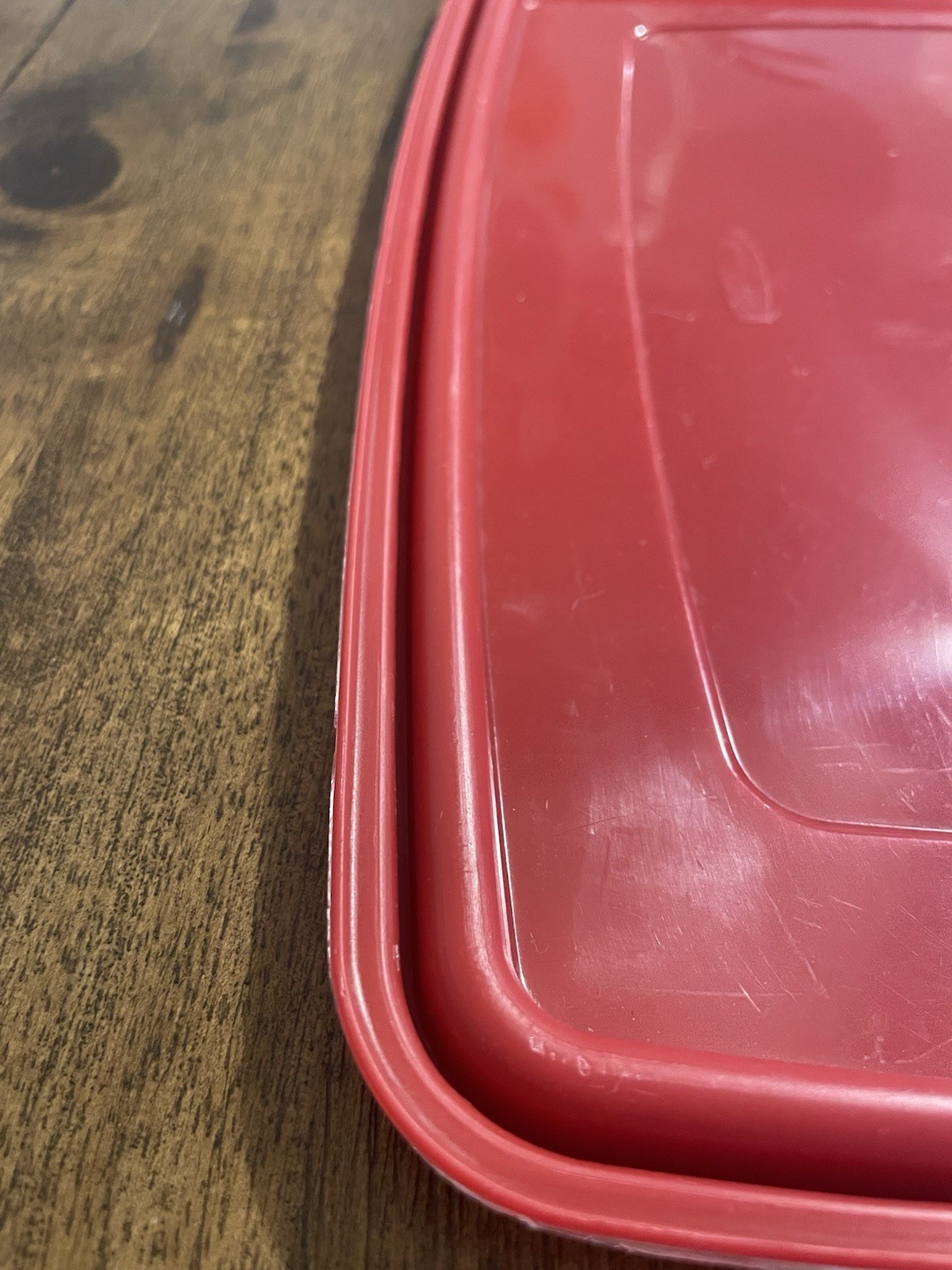 Rubbermaid Deviled Egg Keeper Food Storage Container Red 12 x 8.5 Inches