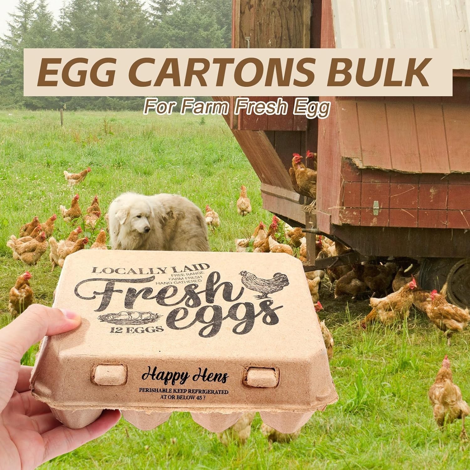 “ZHIGLMYD 25 or 60 Pack 12 Count Plastic Egg Cartons – Bulk Cheap Clear Reusable