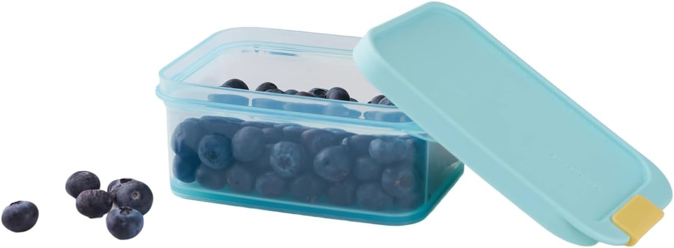 Plastic Food Storage Container Airtight 450ml