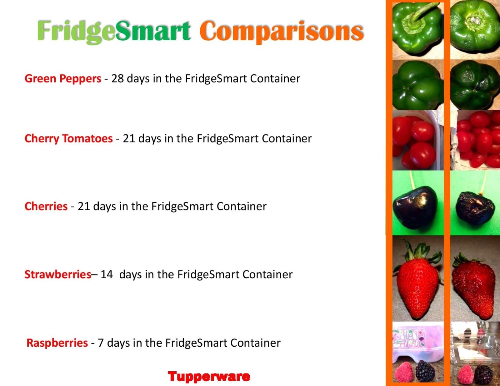 Tupperware FridgeSmart Medium Set of 2 Produce Savers – Produce Last Longer -New