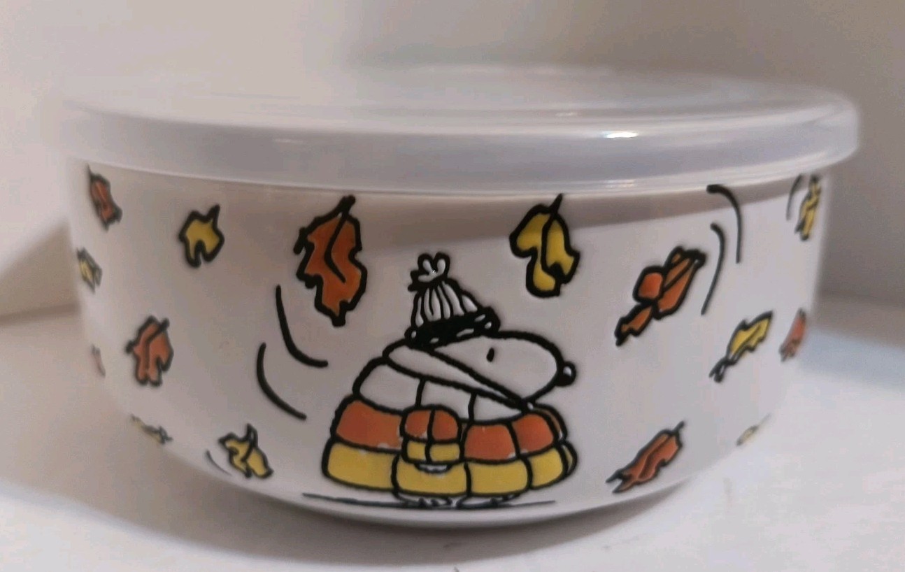Peanuts Snoopy Puffer Jacket Fall 16 oz. Pressure Lid Food Storage Container NEW
