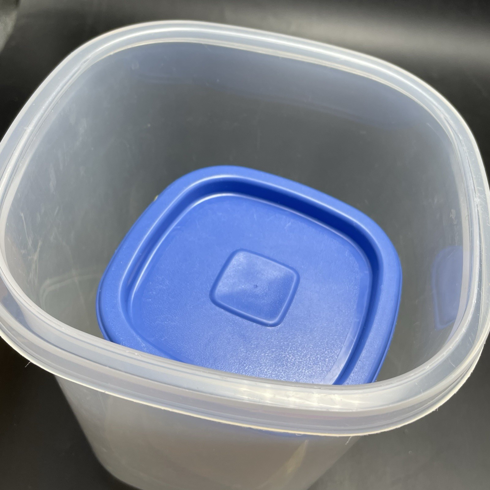 2 Vtg Rubbermaid Servin Saver Canisters Clear w Blue Lids #6 #8 3 Qts 1.8 Pts