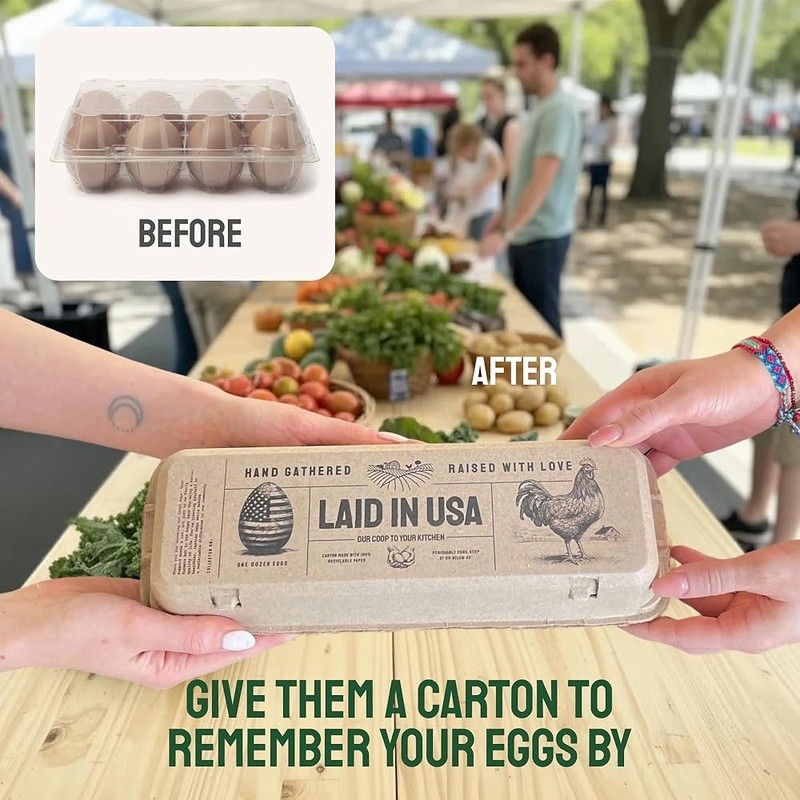 48 Pack Biodegradable Egg Cartons Storage Transport Kitchen Farmers Market New