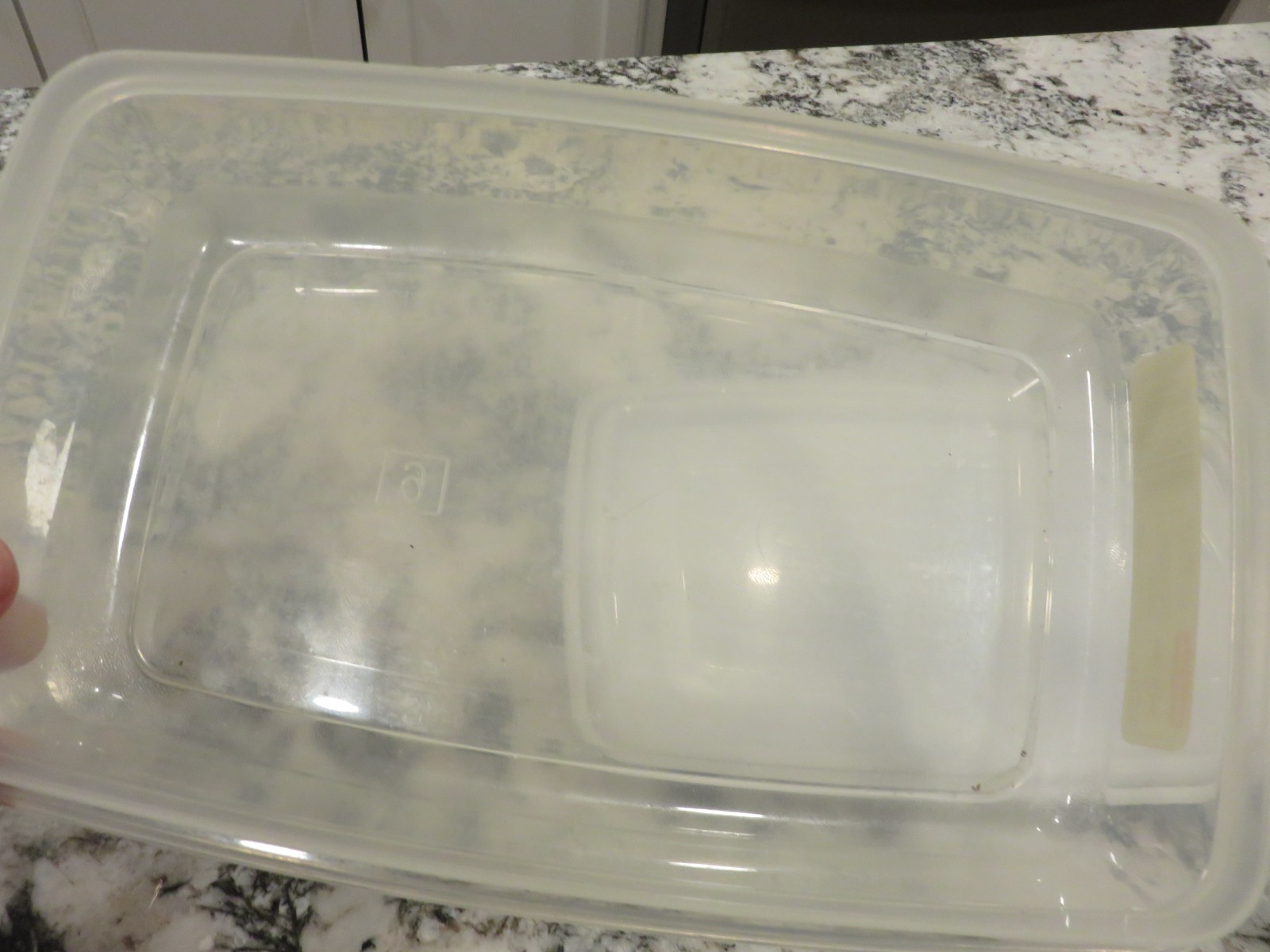 VTG Rubbermaid Servin Saver #6 Container Clear w/White Lid 7 Cups 1.7L EUC