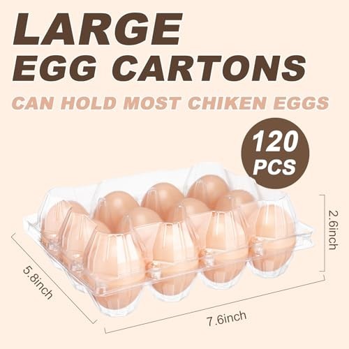 120 Pcs Clear Plastic Egg Cartons – Reusable Large Egg Tray with Labels for Farm