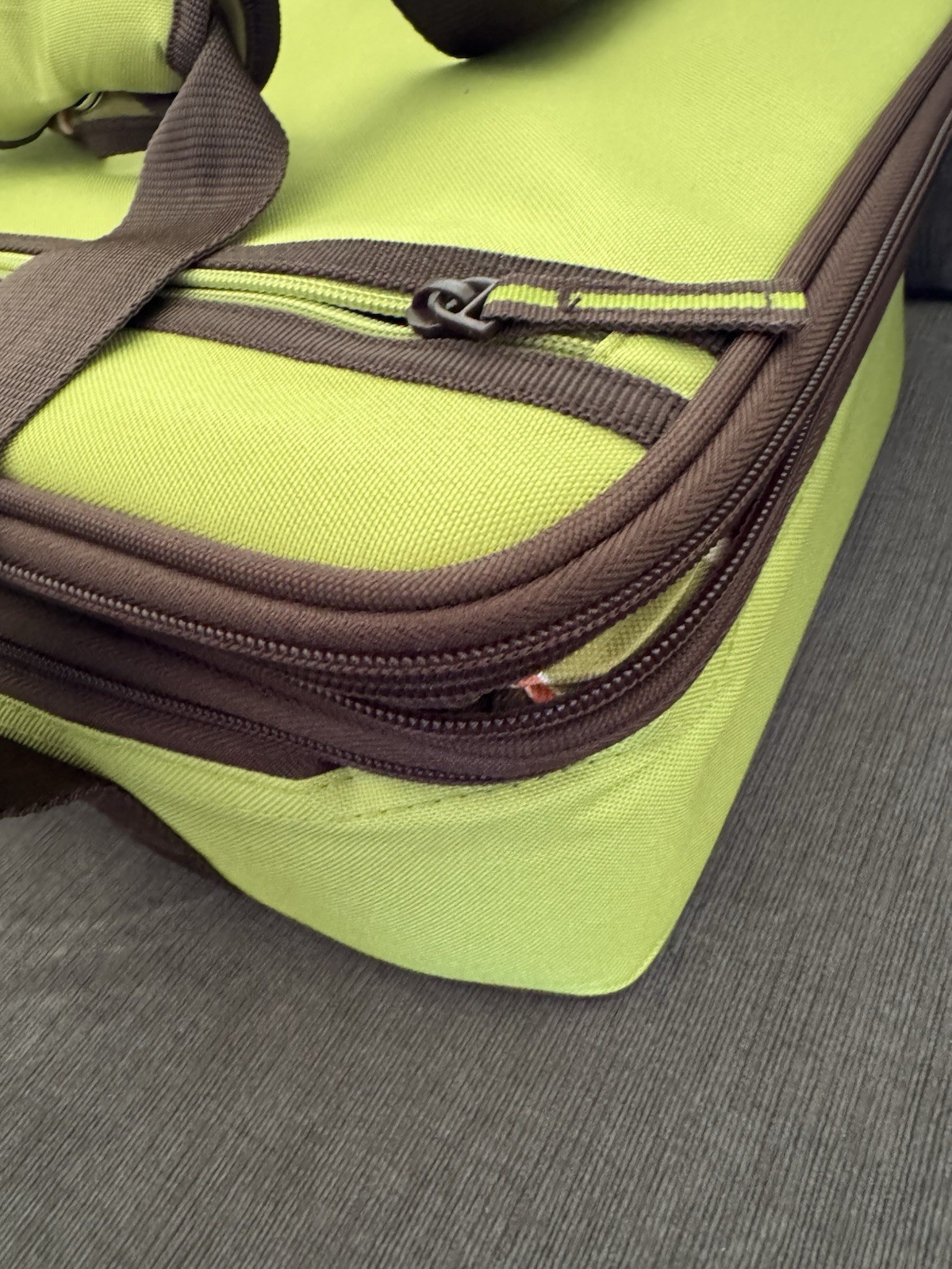 Rachael Ray expandable Insulated Casserole Travel Carrier Lime Green 16”x10”