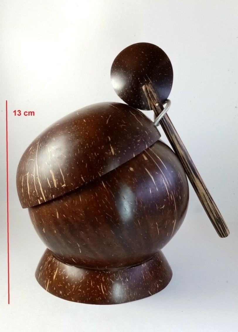 Salt Container with Spoon Coconut Shell Handmade Kitchen Zero Waste Eco-friendly