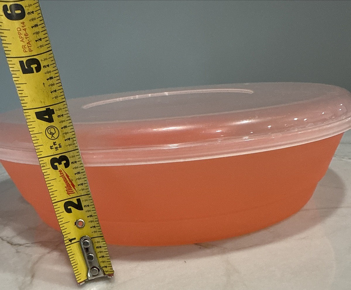 Plastic Orange Chips & Dip Veggie Tray with Clear Lid Serving Bowl 13″ by 3″