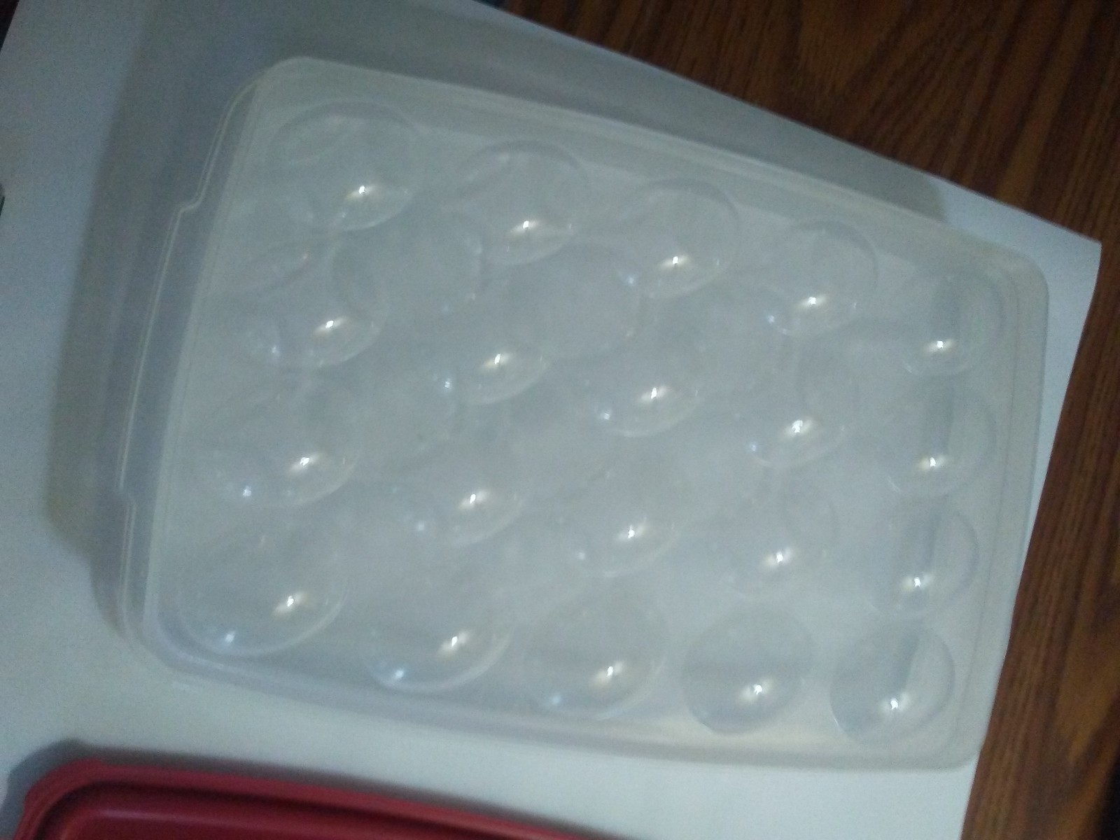 Rubbermaid Deviled Egg Keeper