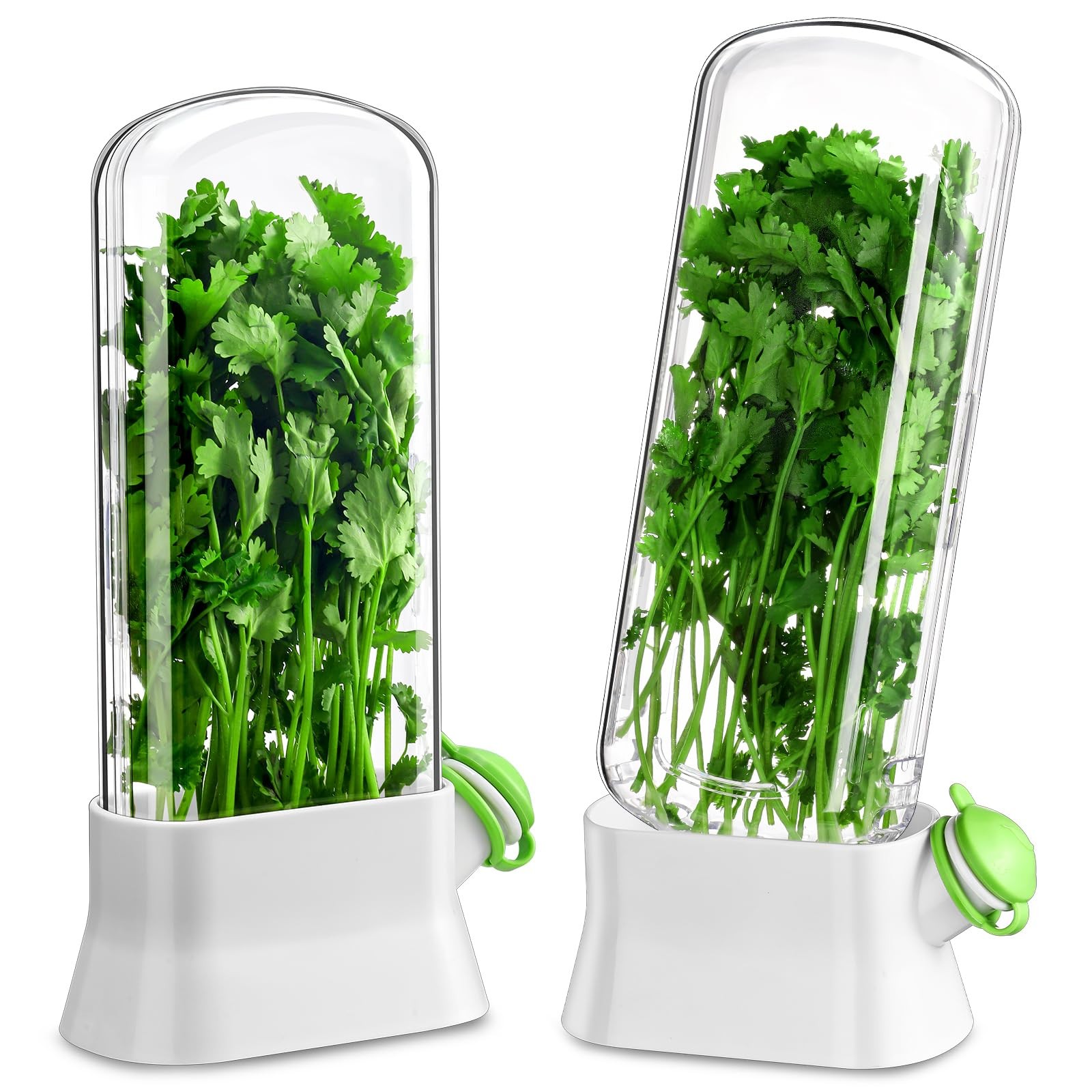 2 Pieces Herb Saver for Refrigerator Herb Keeper Herb Storage Containers Herb…