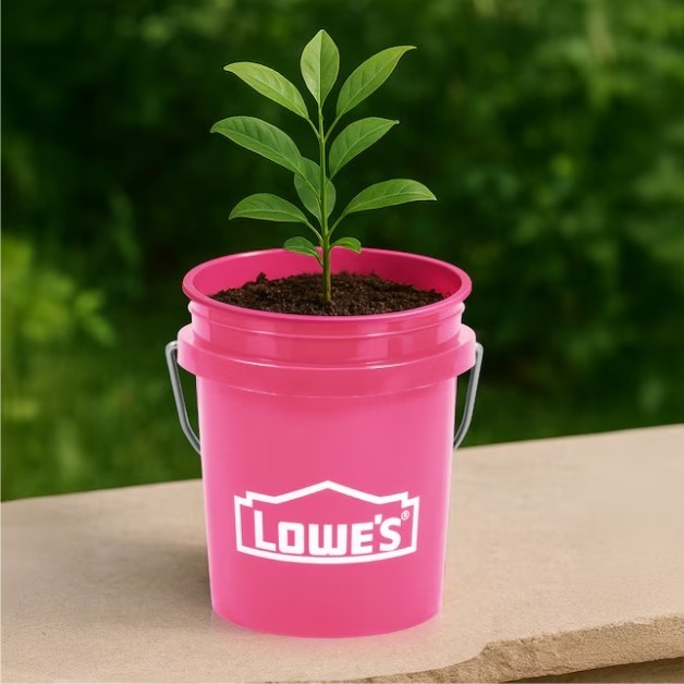 Lowe’s Mini Buckets & Tote, Lids x 3, BPA-Free Plastic Storage Pail, Gifts