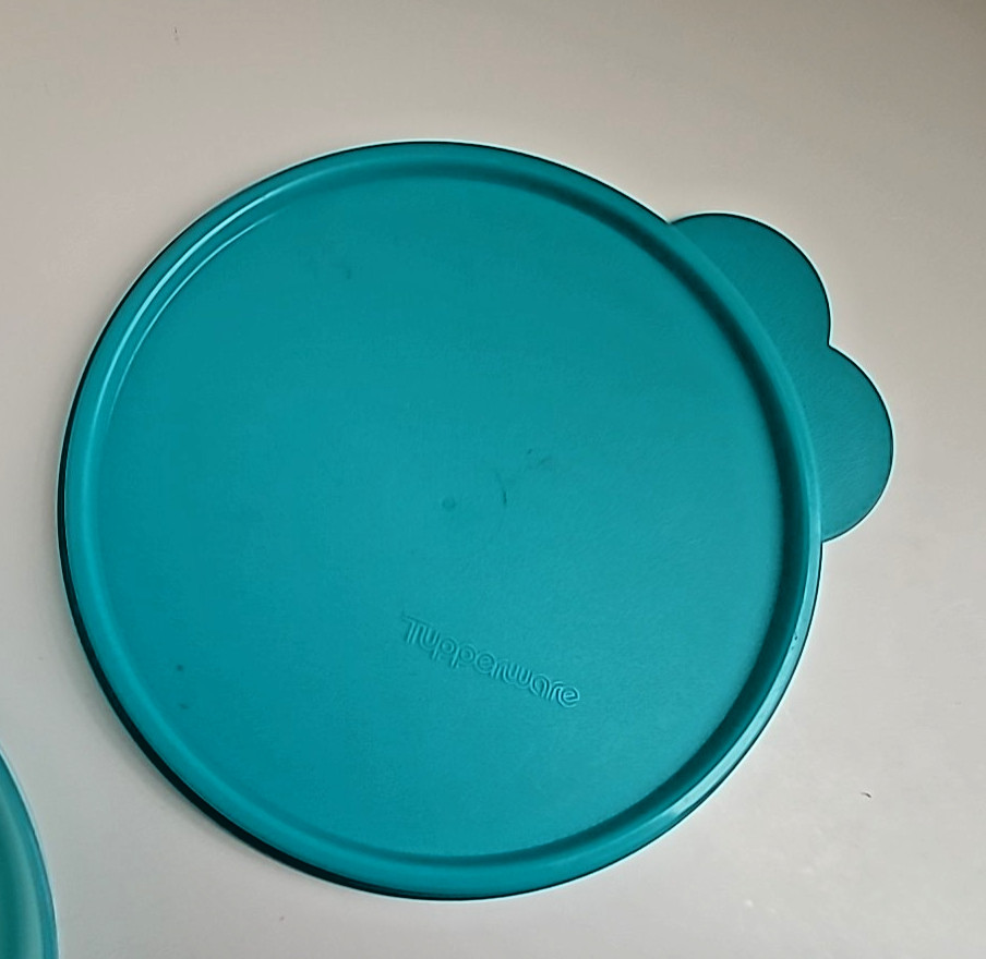 Tupperware Bowls Set of Two 500ml Containers w/Seals Aqua #6403B-3