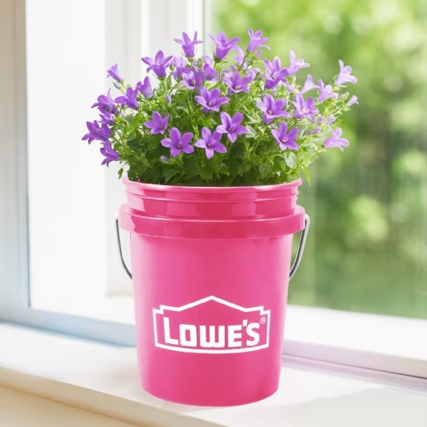 Lowe’s Mini Buckets & Tote, Lids x 3, BPA-Free Plastic Storage Pail, Gifts