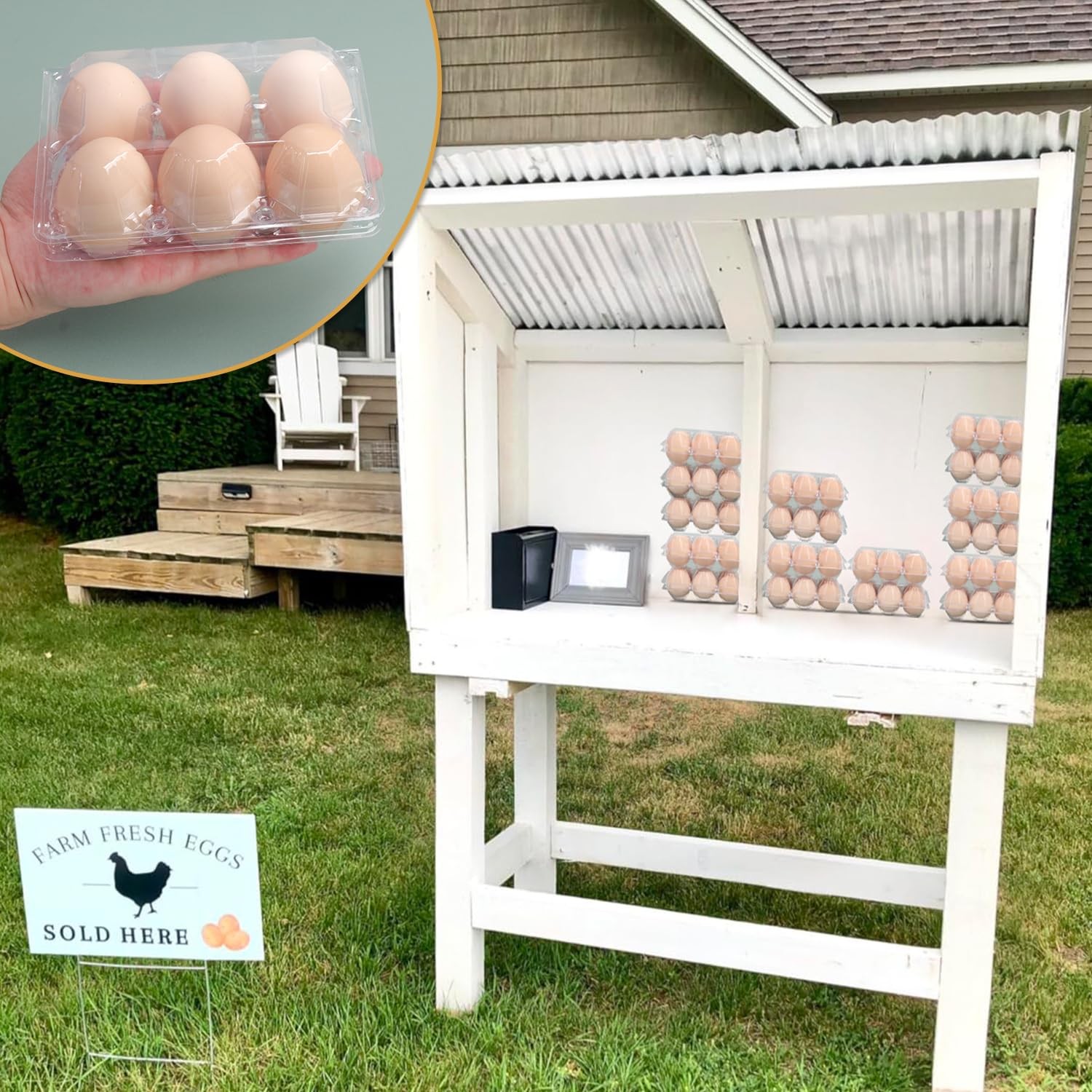 150 Pack Half Dozen Egg Cartons Bulk 2×3 Clear Plastic Chicken Holders Tray