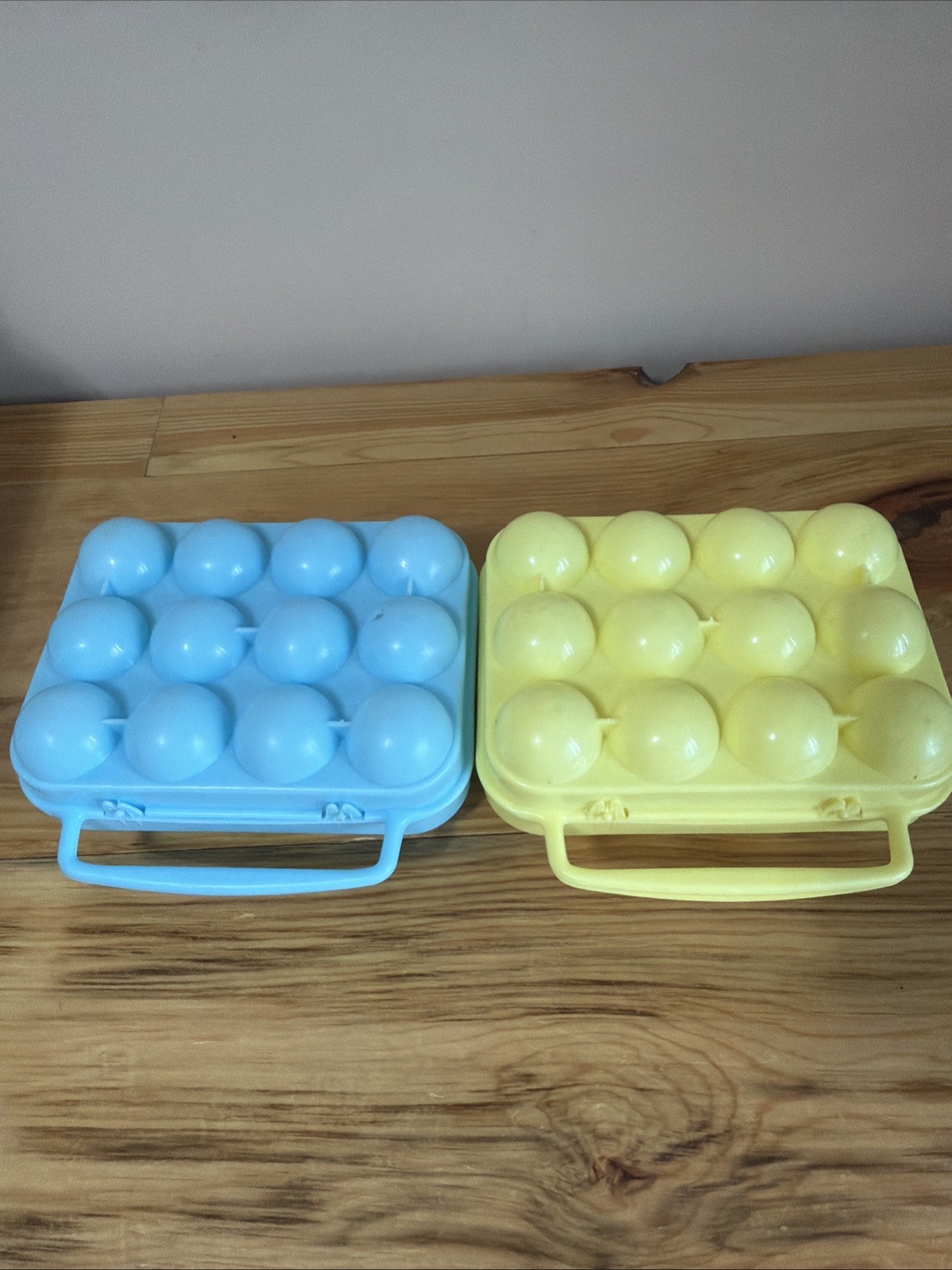 2 Plastic Rectangular Egg Storage Container Snap Lid With Handle Reusable