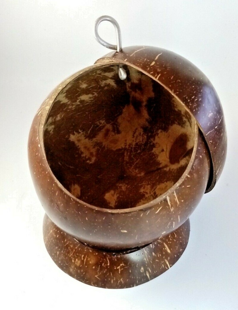 Salt Container with Spoon Coconut Shell Handmade Kitchen Zero Waste Eco-friendly