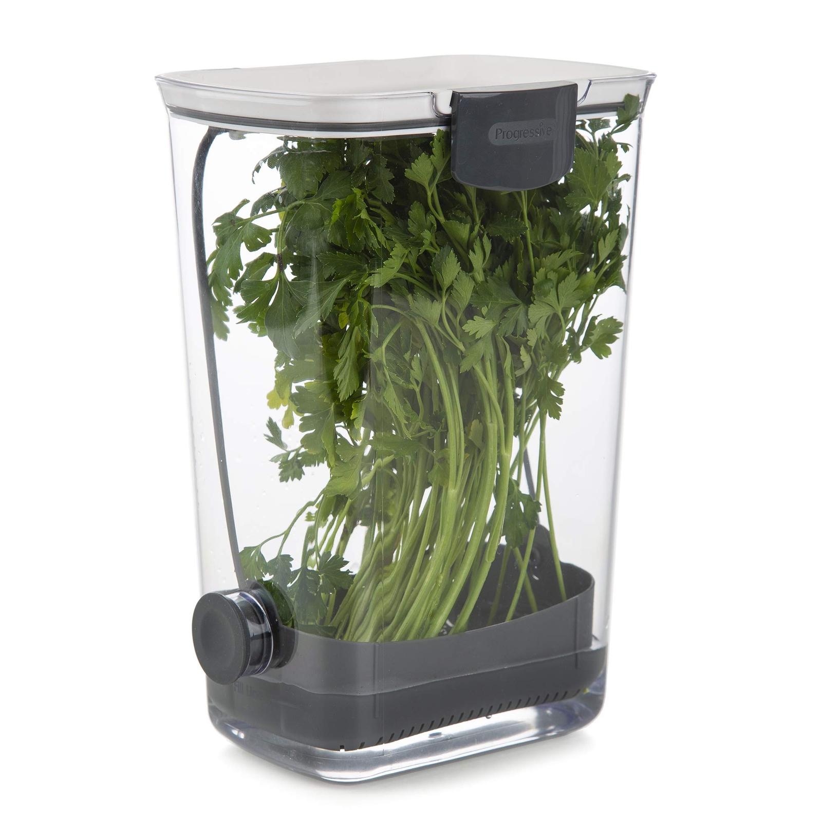 Transparent Herb Storage Container Keeps Fresh Parsley Cilantro Rosemary 1.3 …