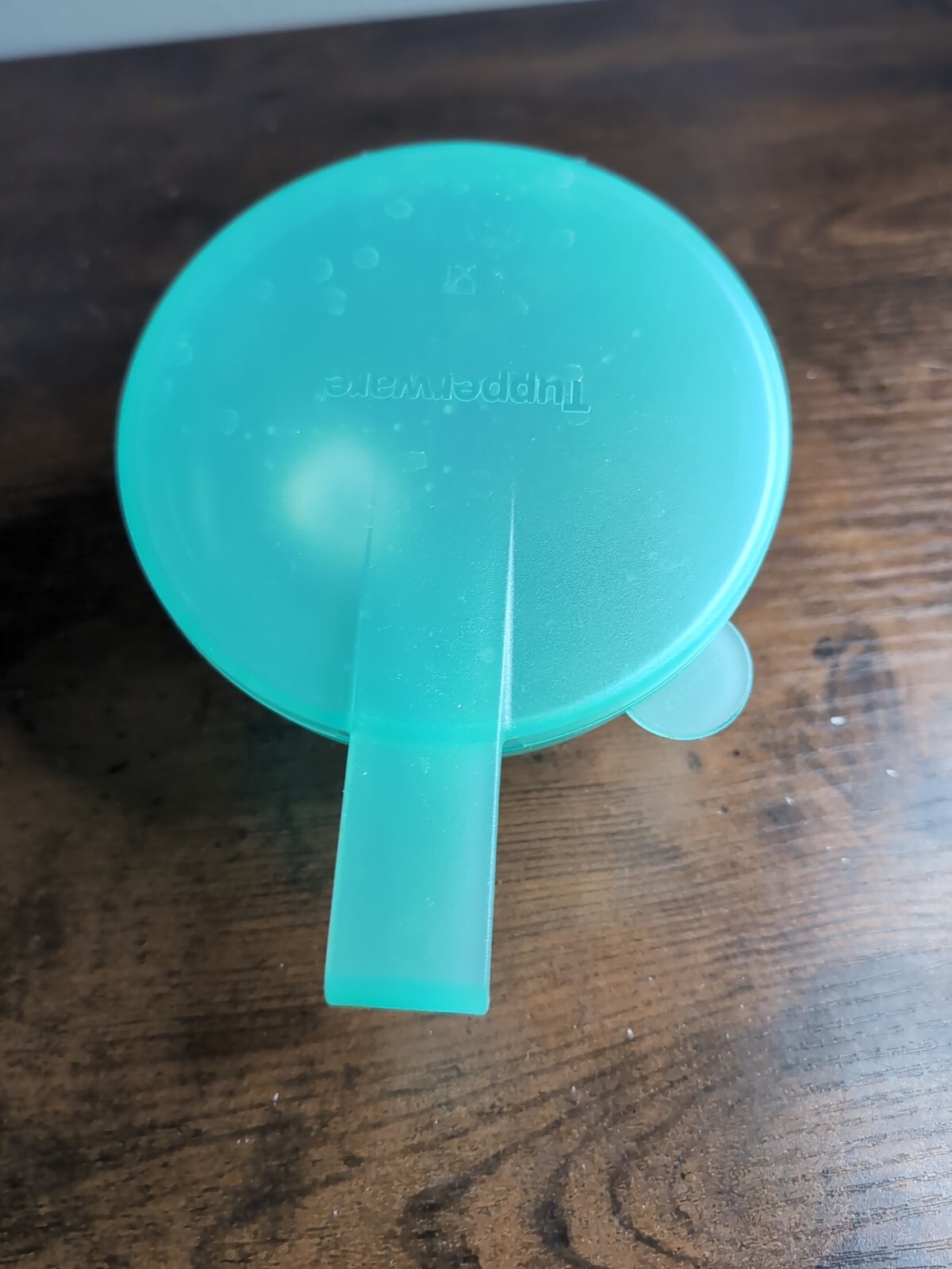 5105 Tupperware Forget Me Not Onion/Tomato Hanging Keeper – Blue Green 5105A