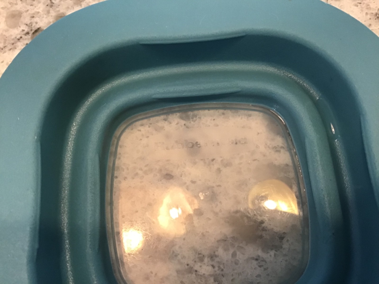 Rubbermaid Storage Container REPLACEMENT LID ONLY Teal Blue w/ Window for 4 oz.