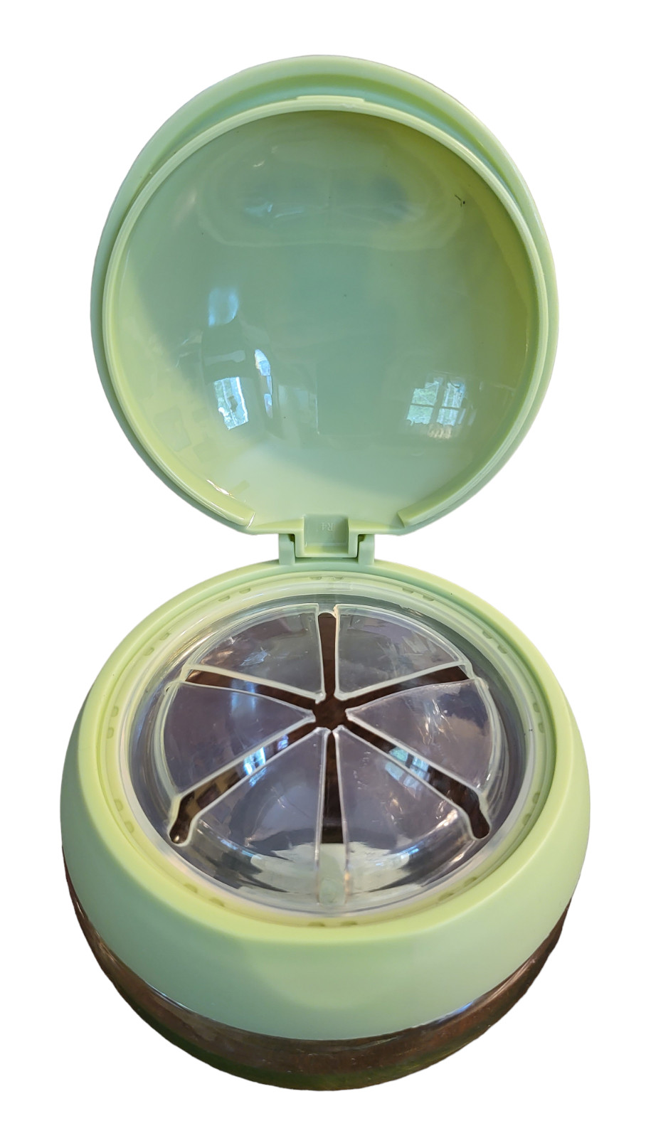 Zebra Green Snack Food Container – New