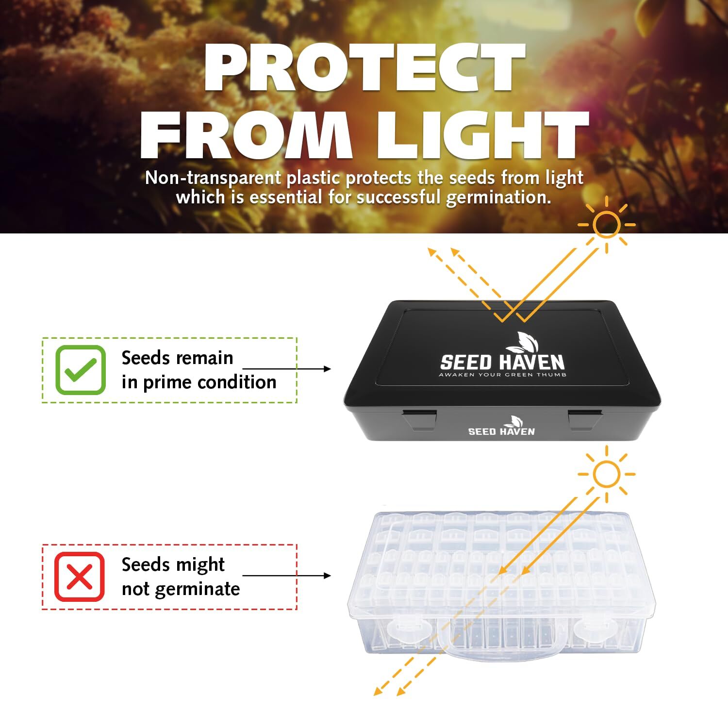 Seed Storage Box Black Opaque Light Proof Seed Organizer Storage Box With 60 Tra