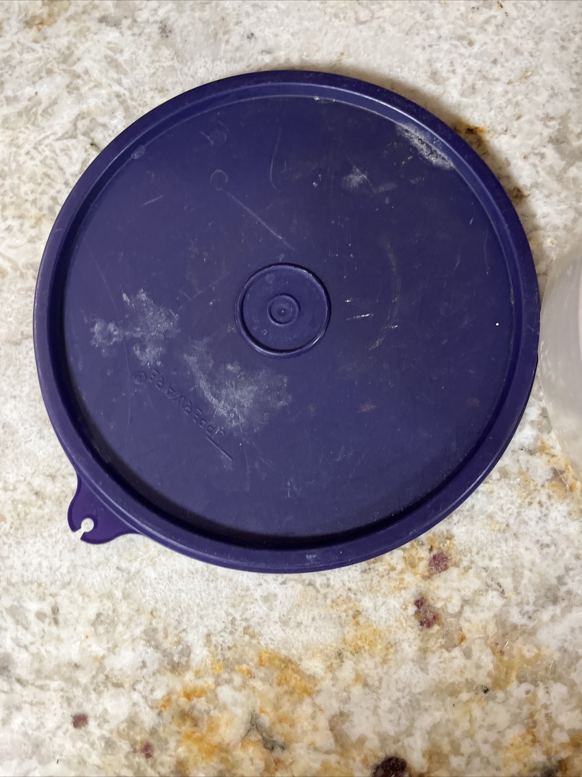 NEW Tupperware Clear Cereal Ice Cream Bowls with Purple Lids (SU106)