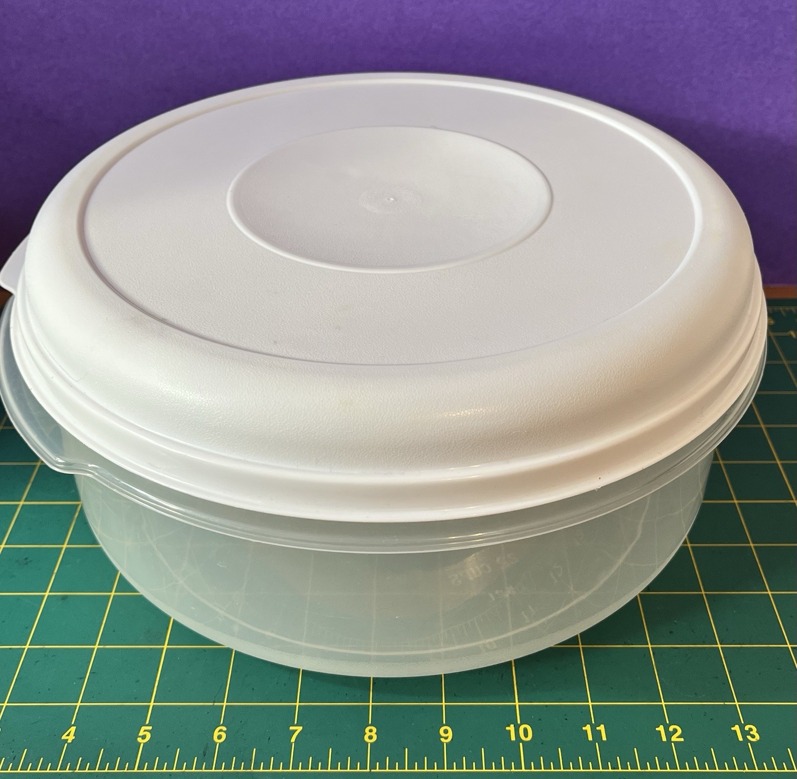 Rubbermaid Servin Saver #5 Large 22 Cup Round Storage Container White Lid EC