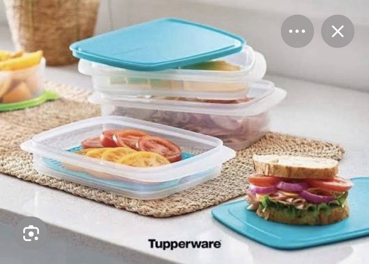 Tupperware Rectangle 4pc Food Deli Storage Set, Blue Snap Lids, Stackable