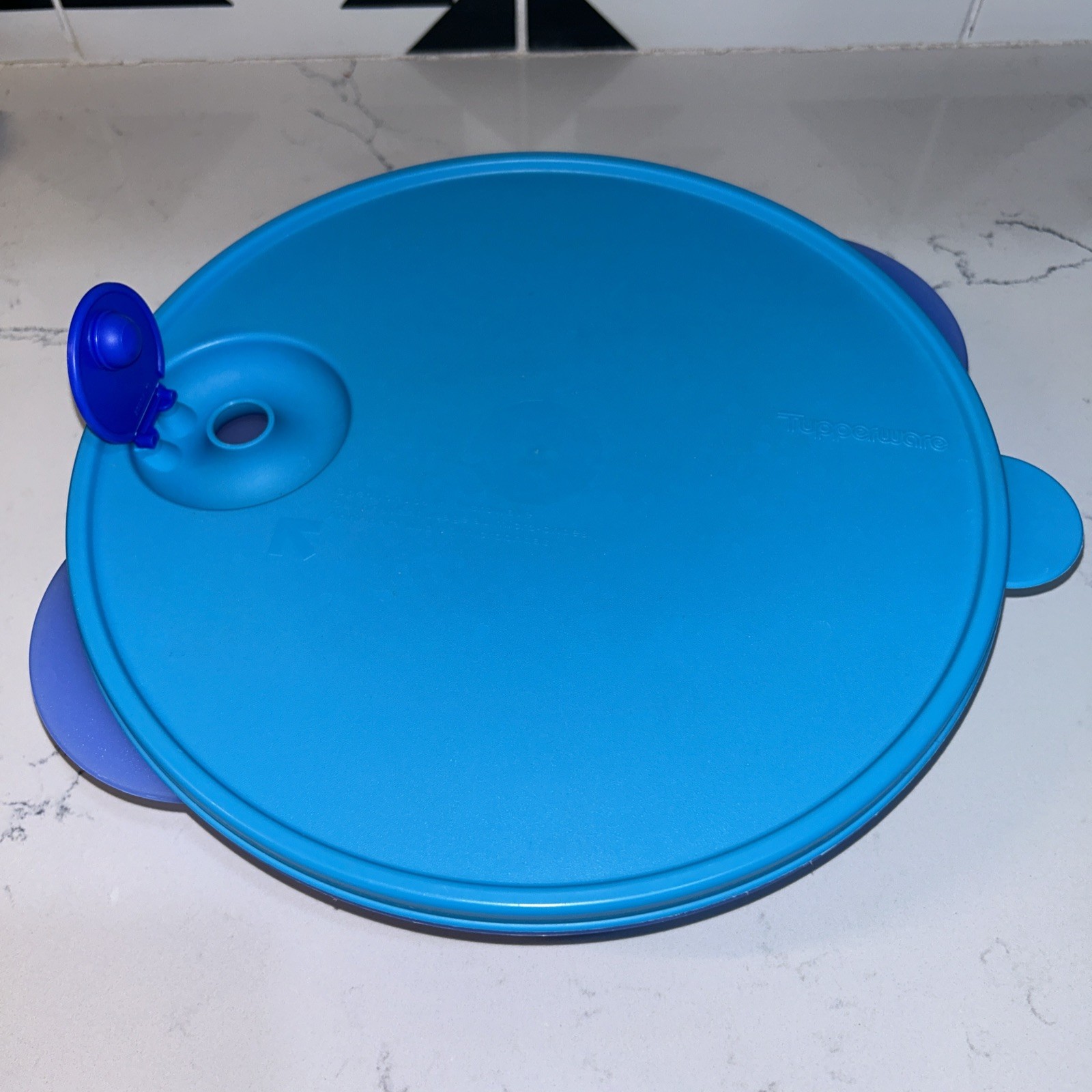 Tupperware Crystal Wave Divided Microwavable Covered Dish Blue 3284C Vented 10”