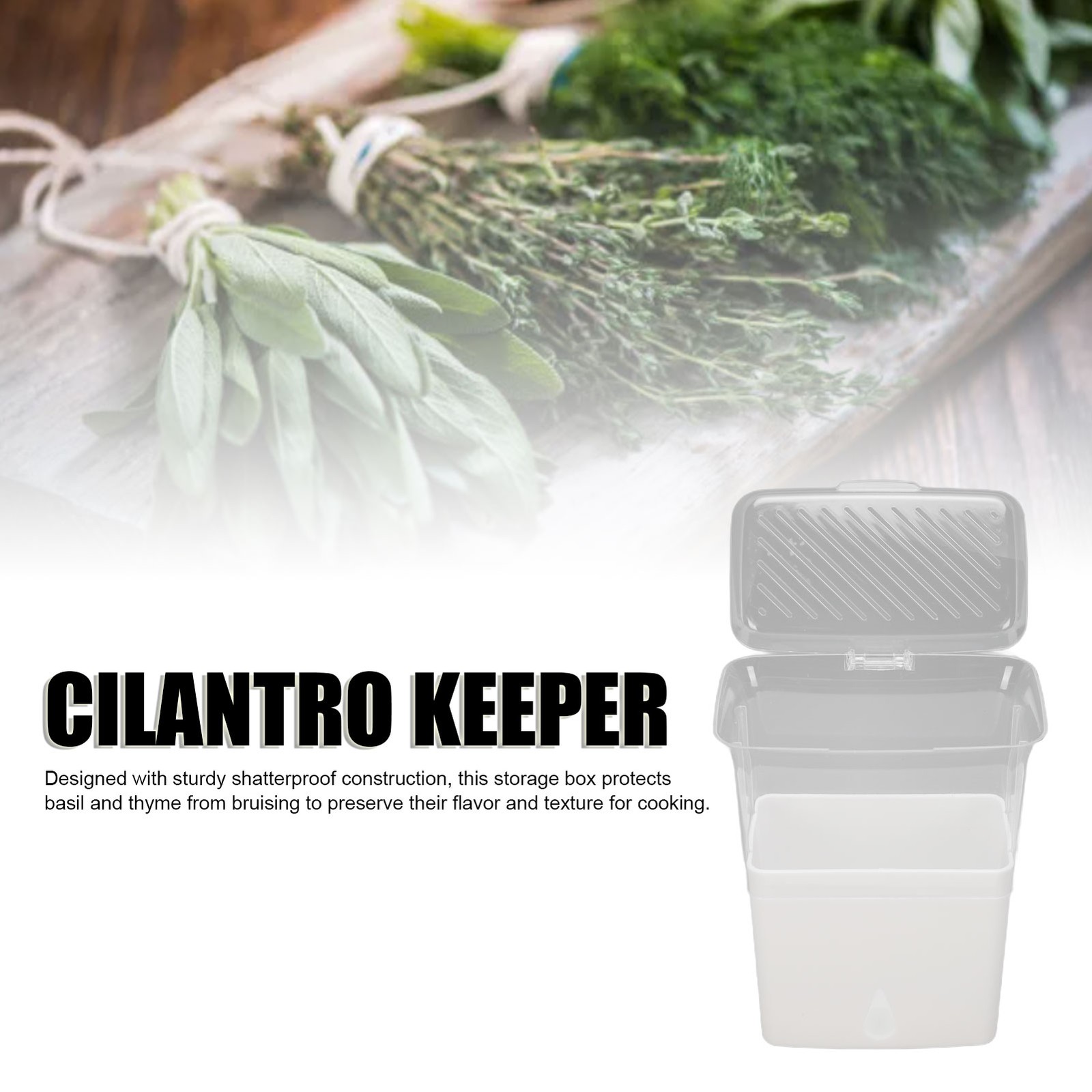 Leakproof Cilantro Keeper For Extended Freshness Ideal For Fridge Organization