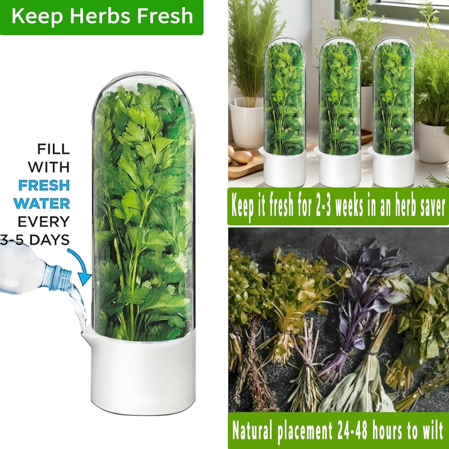 Cilantro Container for Fridge, Fresh Herb Keeper for Cilantro 2-3 Weeks (2PCS)