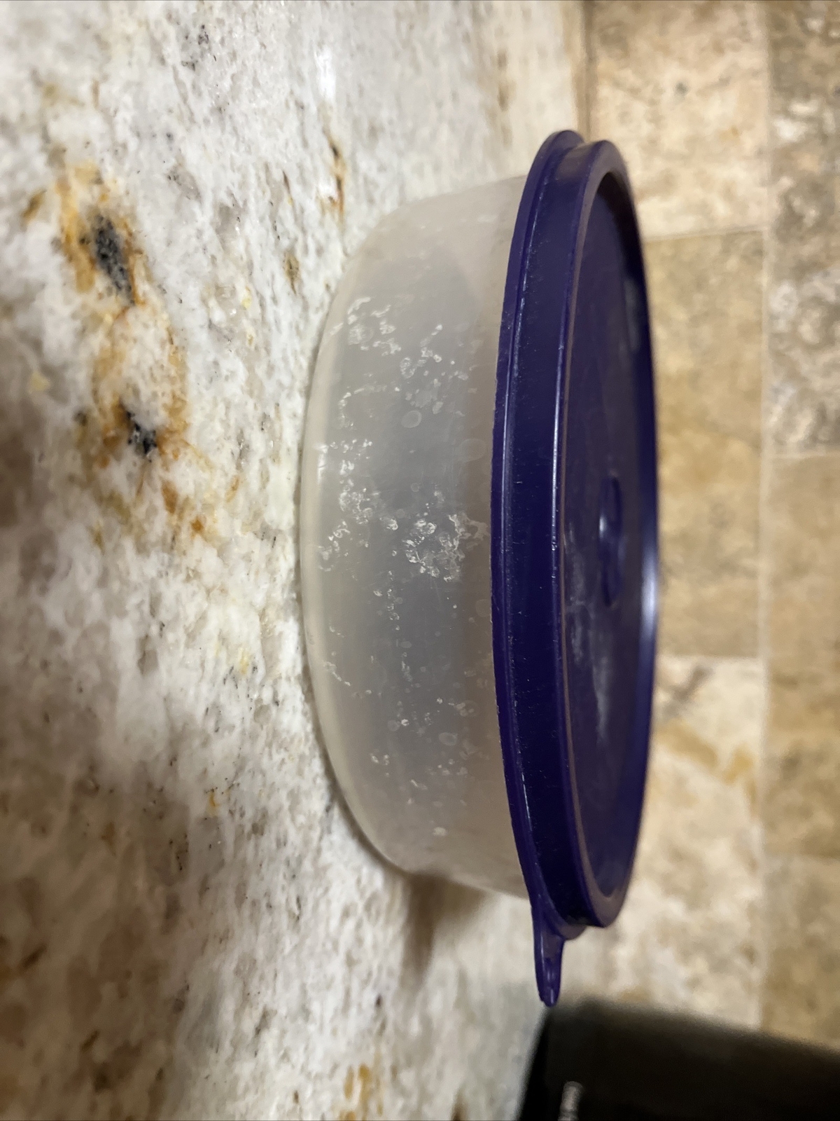 NEW Tupperware Clear Cereal Ice Cream Bowls with Purple Lids (SU106)