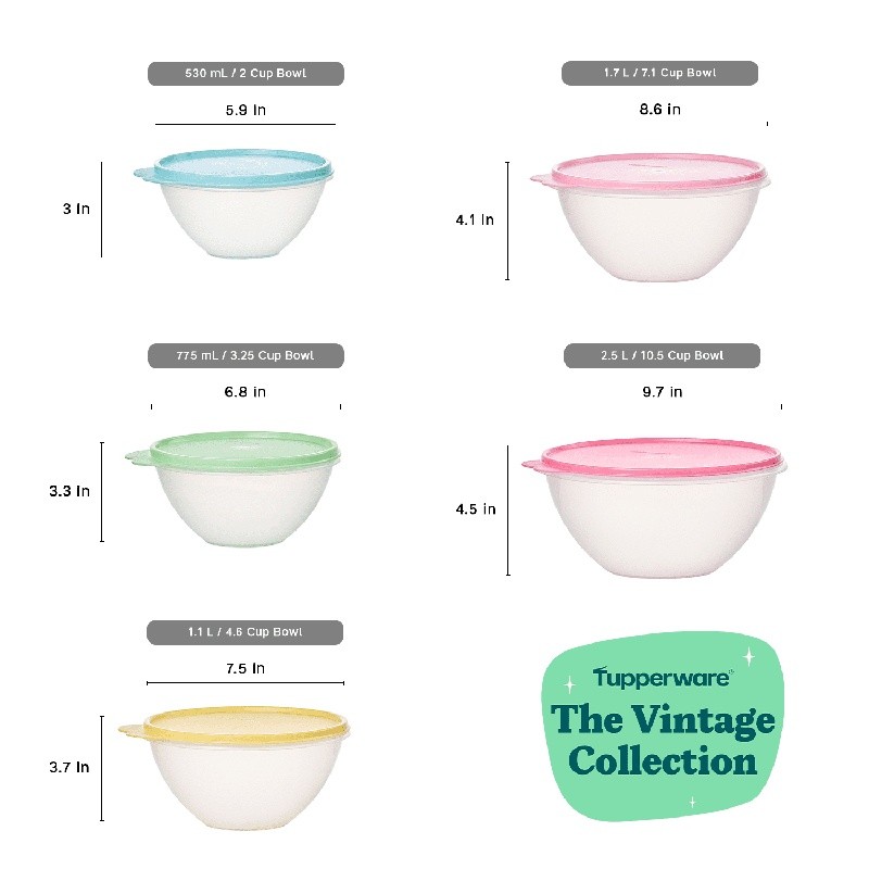 Wonderlier 5 Bowl Set Leakproof Food Storage Containers Nesting BPA Free New