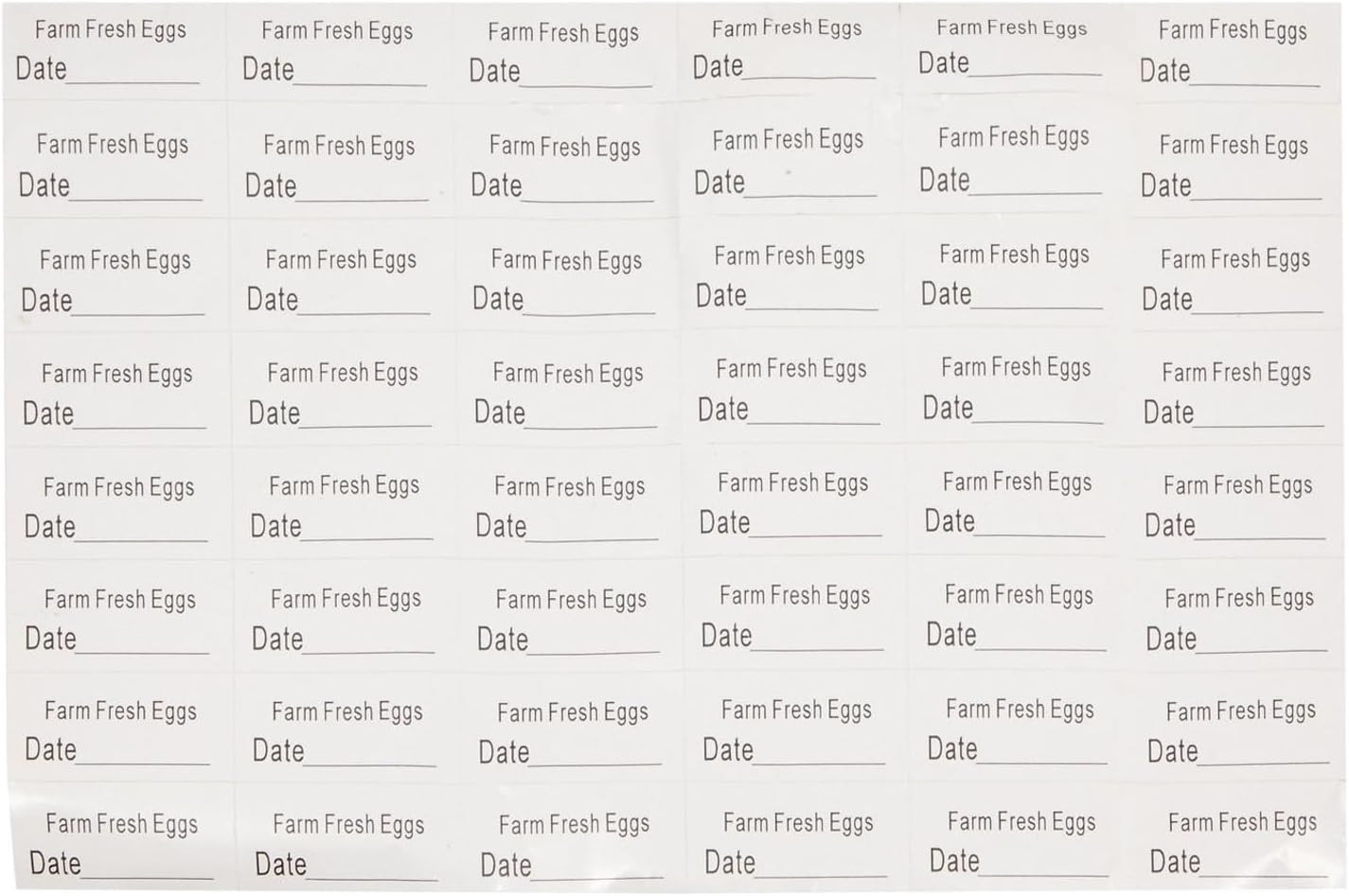 Stockroom plus Clear Plastic Egg Cartons – Clear Containers with Date Labels – B