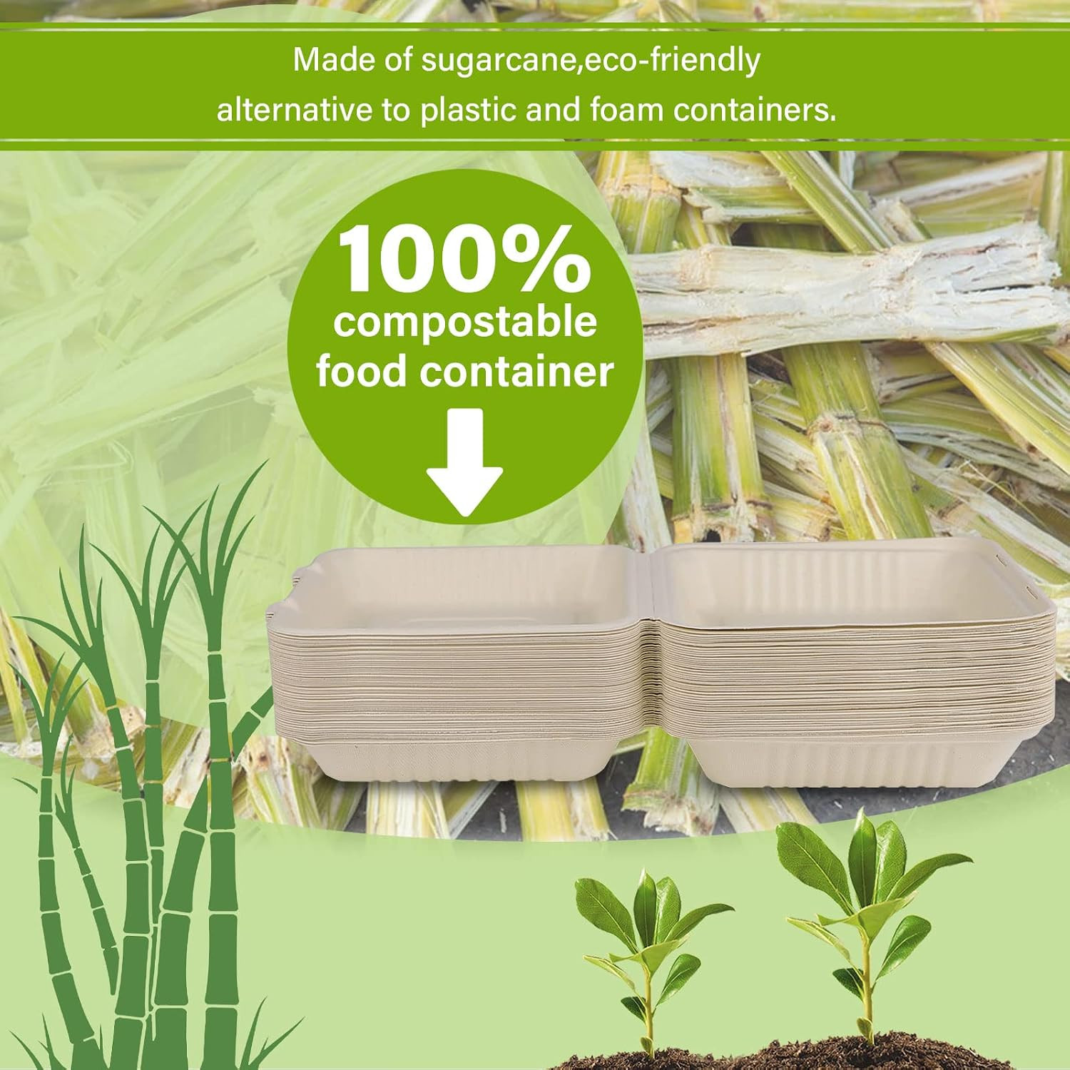 Compostable Take Out Food Container 8X8, 50 Pack Disposable to Go Food Boxes, Bi