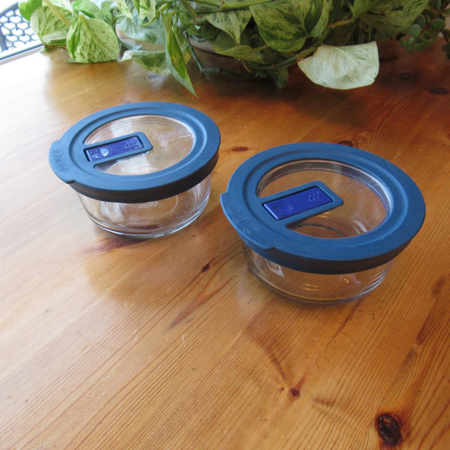 Pyrex 7200 Glass Bowls Vented Blue Lids 2 Cup Storage Lot of 2