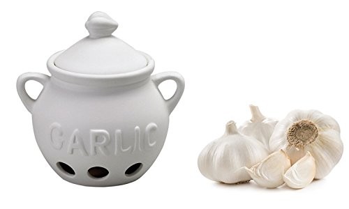 Fantes Garlic Keeper, Unglazed Earthenware Ceramic, The Italian Market Origin…