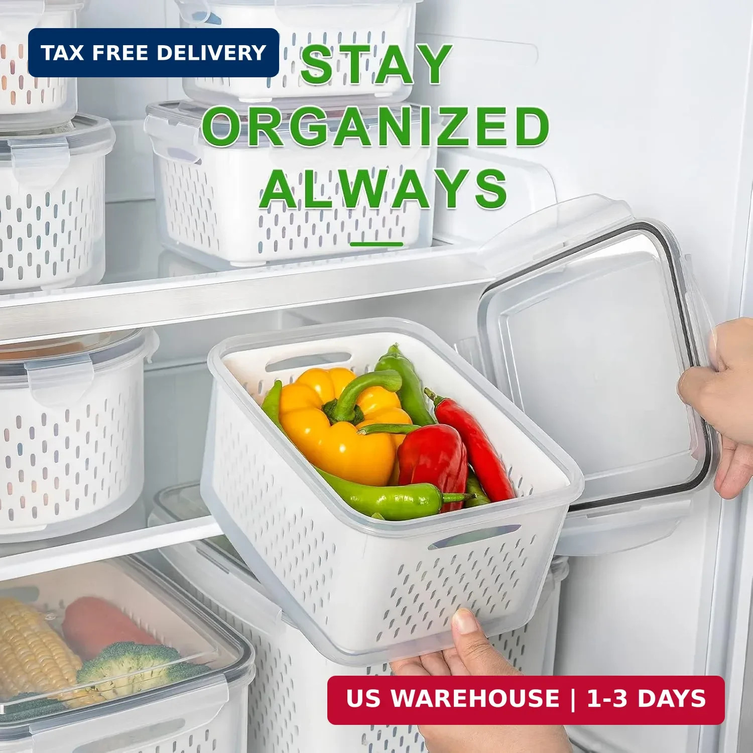 5 PCS Large Fruit Containers for Fridge – Leakproof Food Storage Containers with