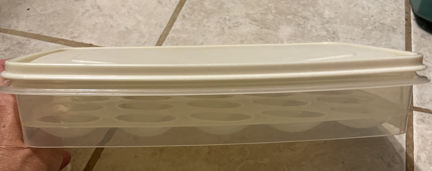 Rubbermaid Deviled Egg Keeper Tray Food Storage Container Hold 20 Eggs.