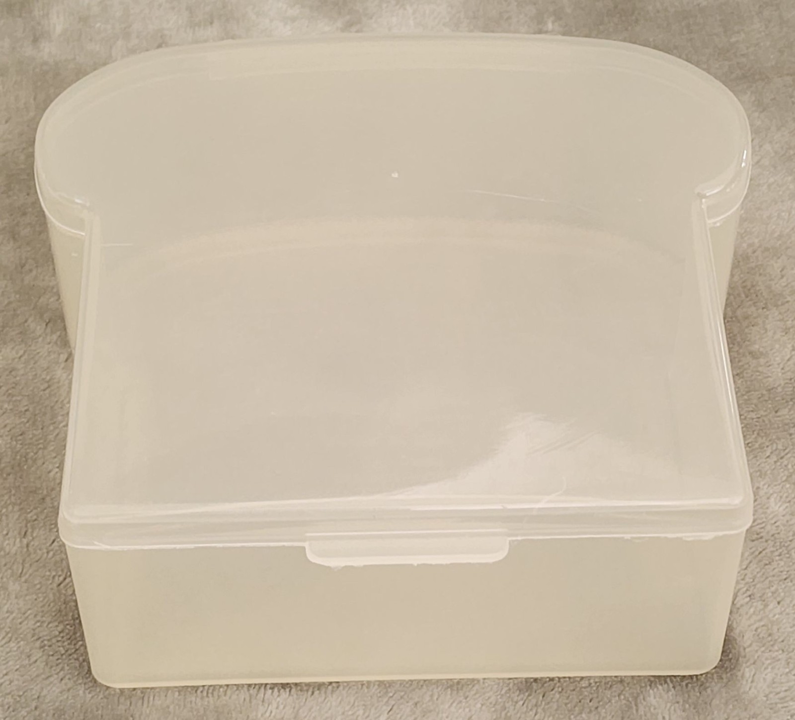 Vintage RPI Trendtex Sandwich Shaped Keeper – Hinged Lid – Clear Plastic – Rare