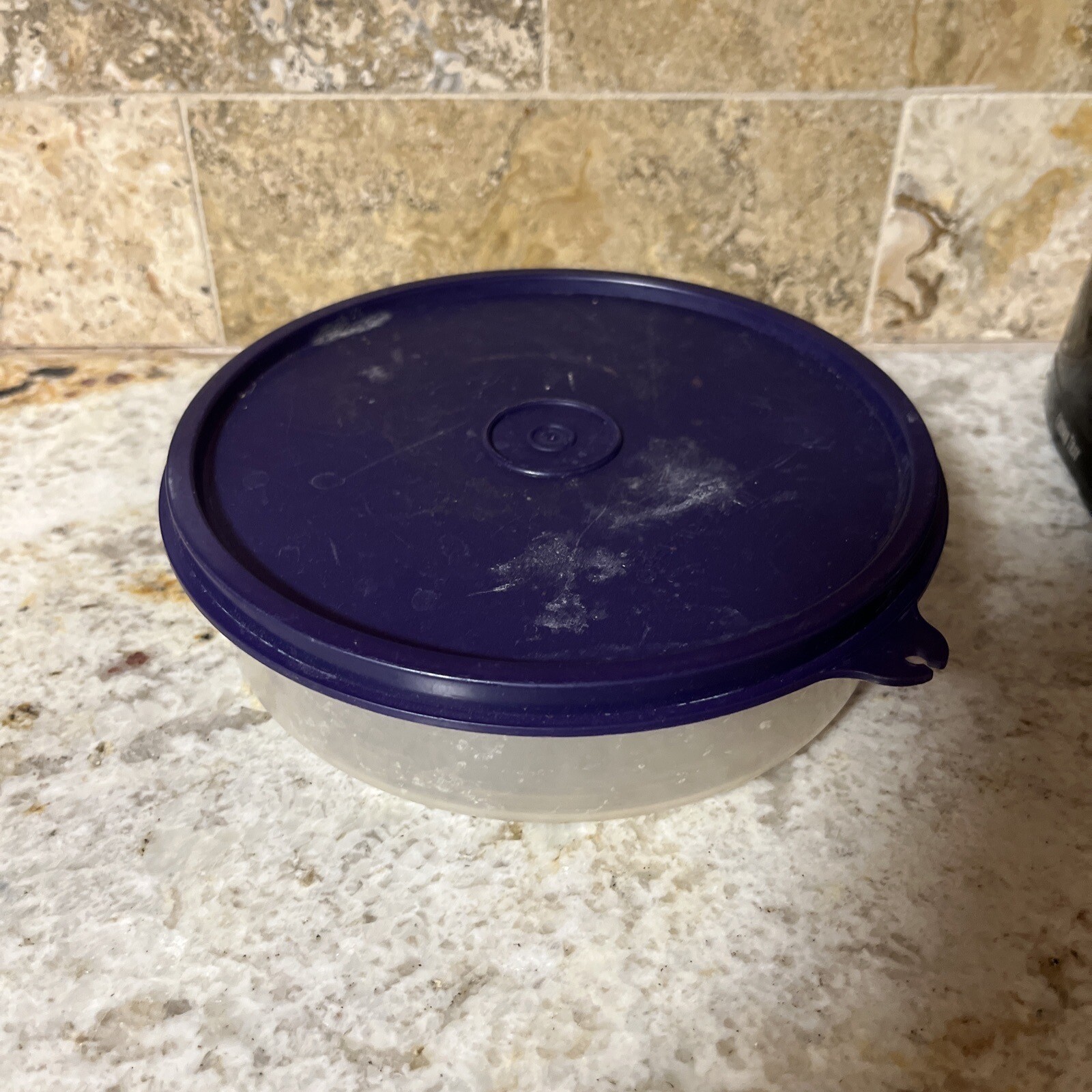 NEW Tupperware Clear Cereal Ice Cream Bowls with Purple Lids (SU106)