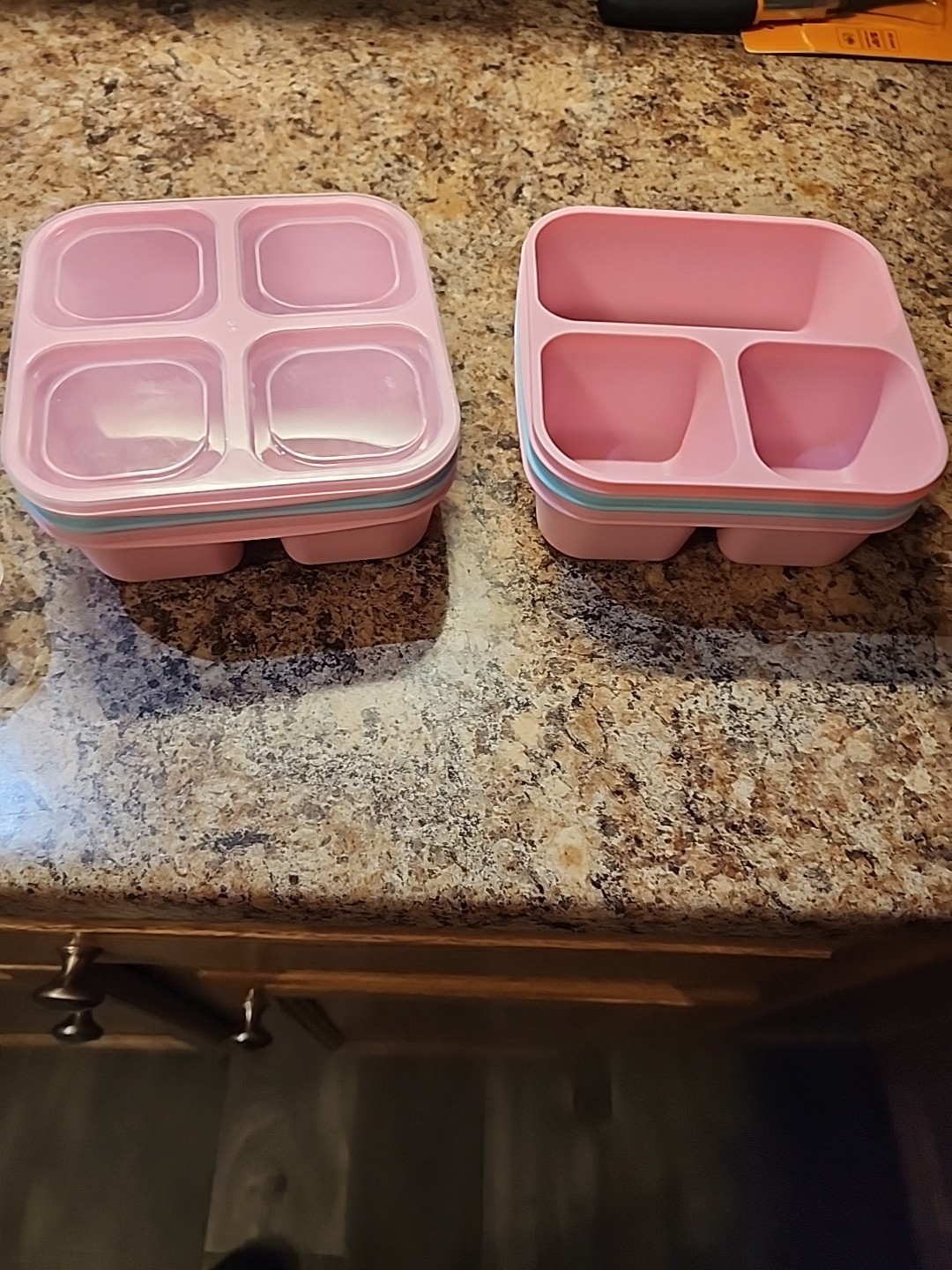 4x 4 Section To-Go Food Containers + Lids