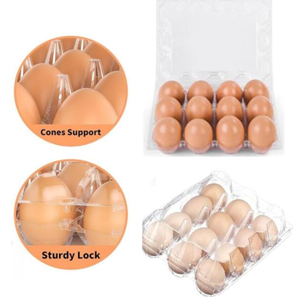 Clear Plastic 12 Grid Empty Chicken Egg Carton Tray With Hinge Lid 40 PCS