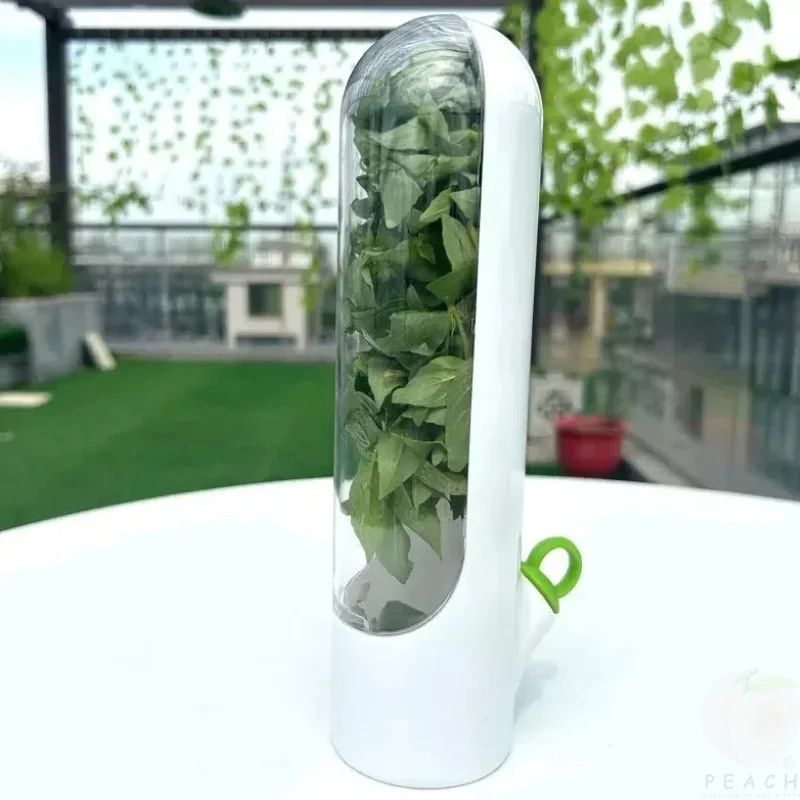 Cross-border Vanilla Vegetable Fresh-keeping Box Dust-proof Anti-pressure Enviro